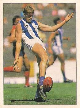 1992 Select AFL Stickers #184 Mark Roberts Front